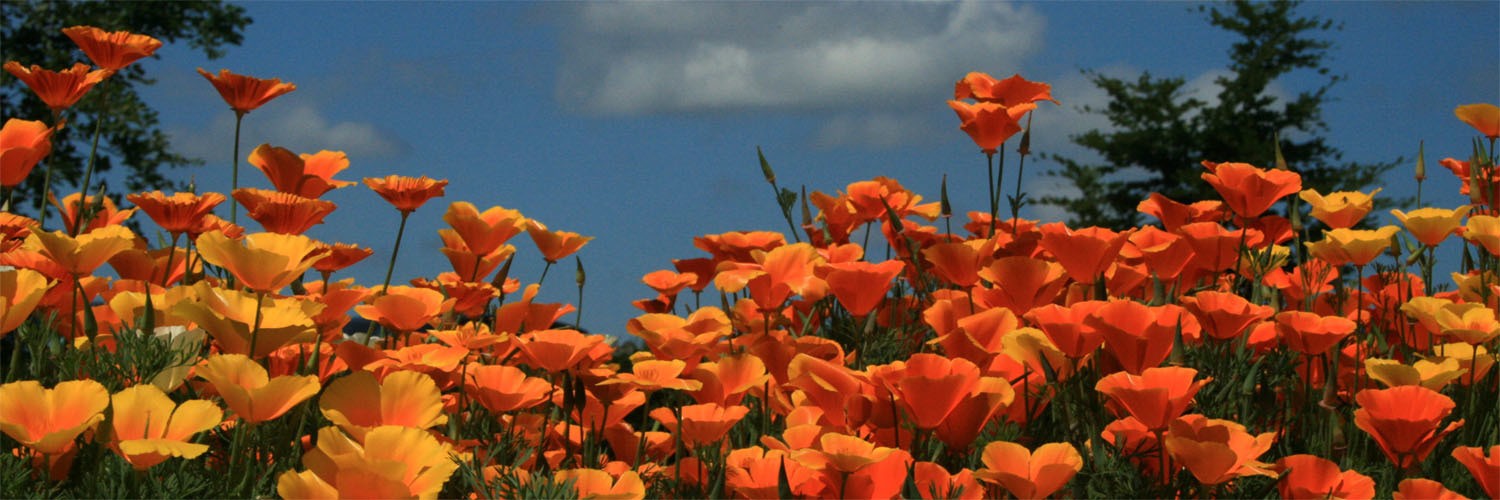 @RickGaehl@mstdn.social