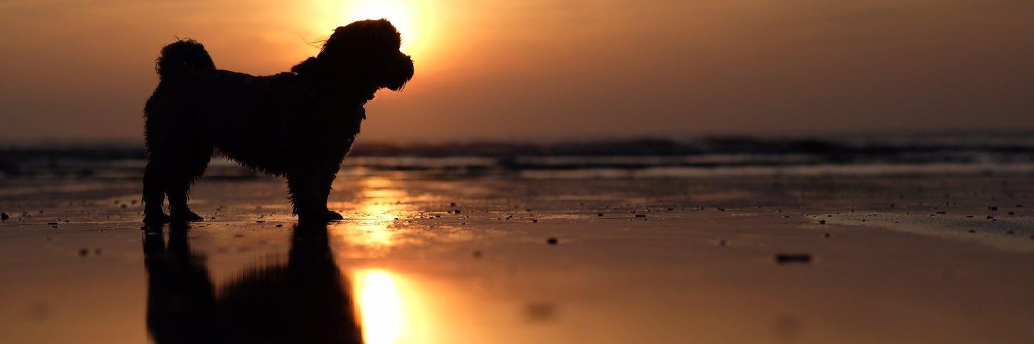 @alpower@mastodon.social