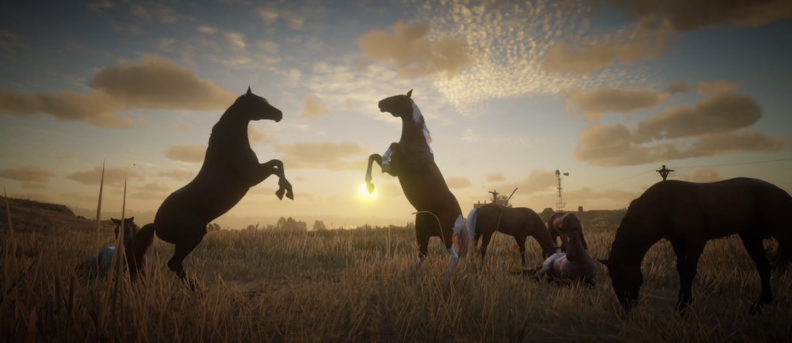 @HopeSpringsRP@mastodon.social