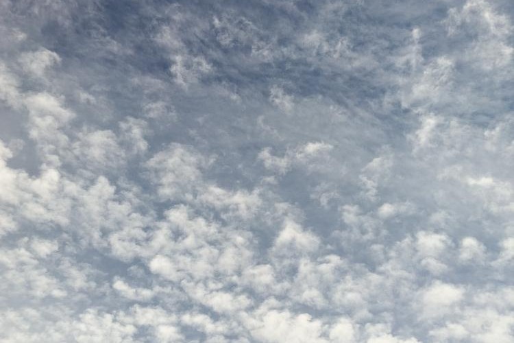 @lavenderluxury@mastodon.social