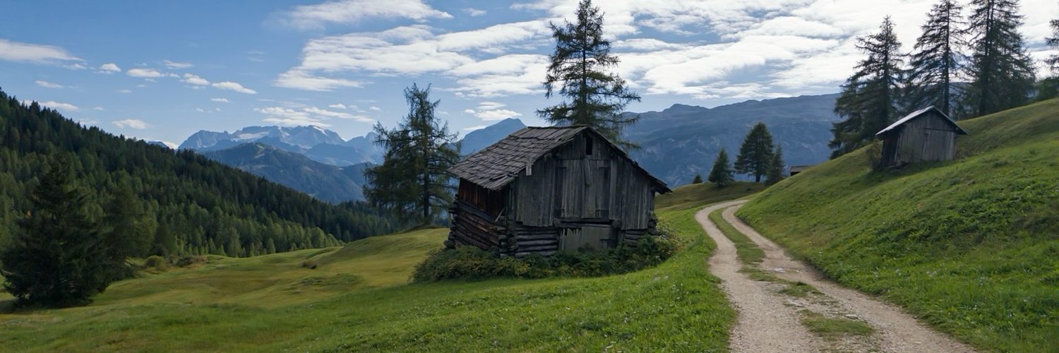 @aboutmatte@mastodon.social