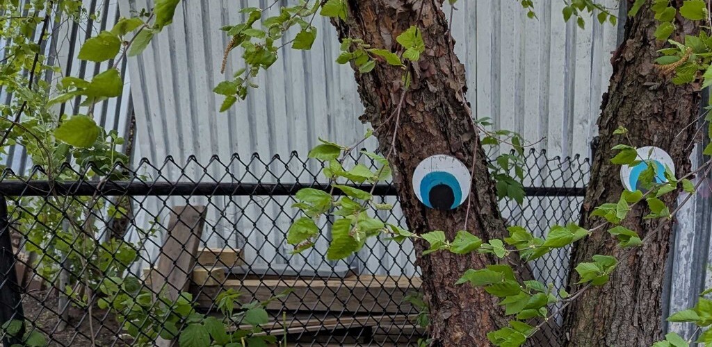 @fafferlicious@lemmy.world