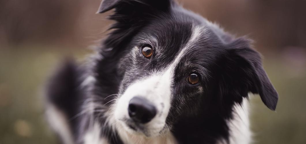 @jeminforme@mastodon.social