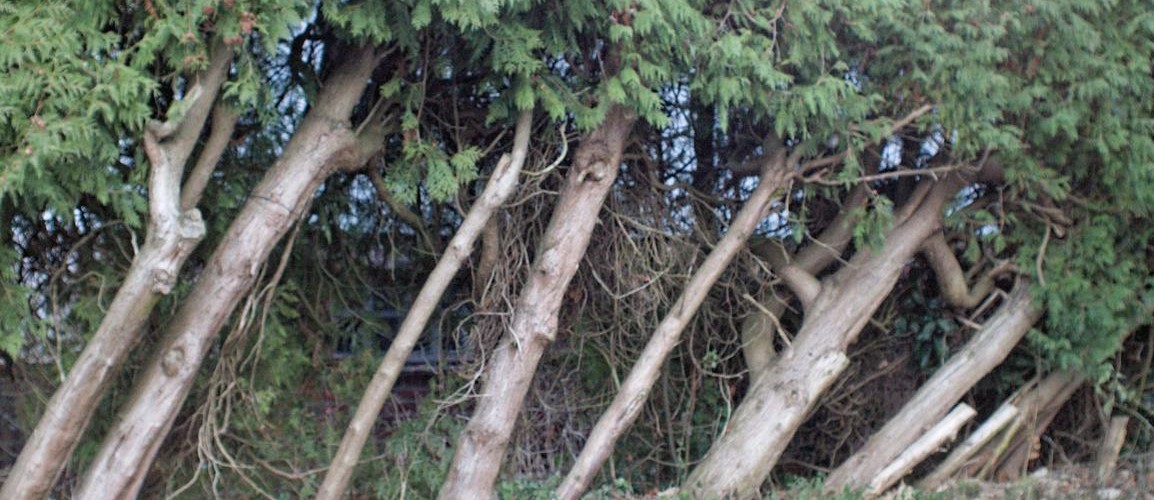 @NadjaThoener@mastodon.social