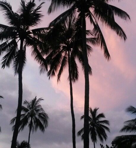 @aurexm@mastodon.social