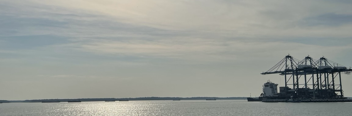 @kakibudak98@mastodon.social