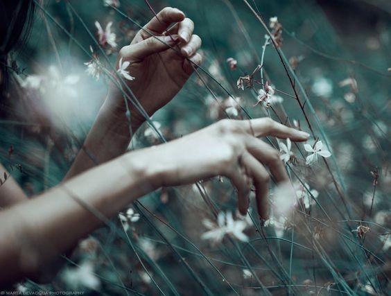 @emiliebronte@loforo.com