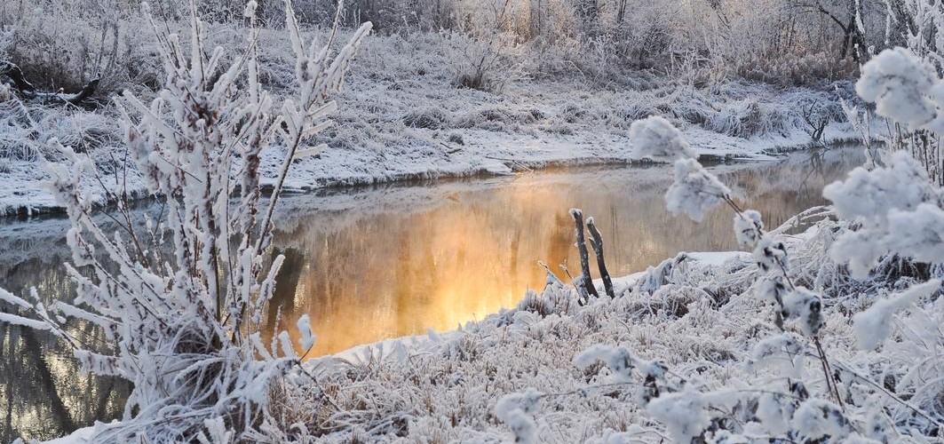 @highlyvisceral@pol.social