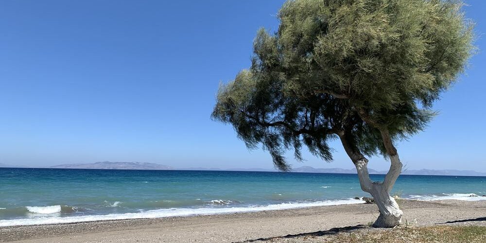 @eleftheria@mastodon.social