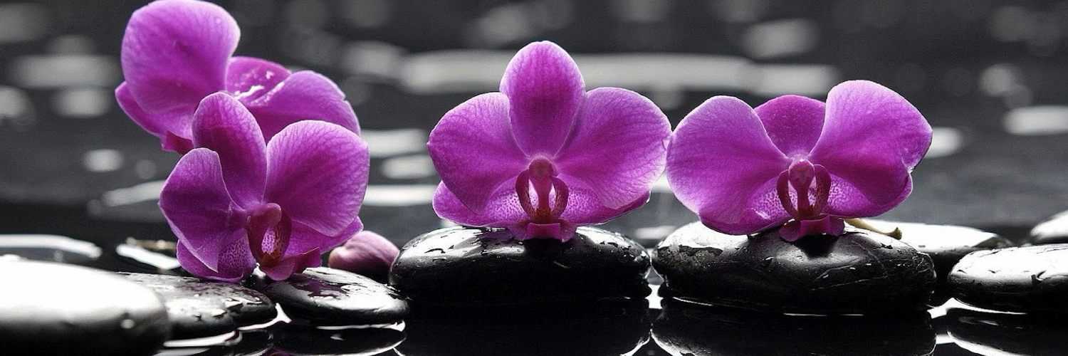 @mrcoenen@mastodon.social