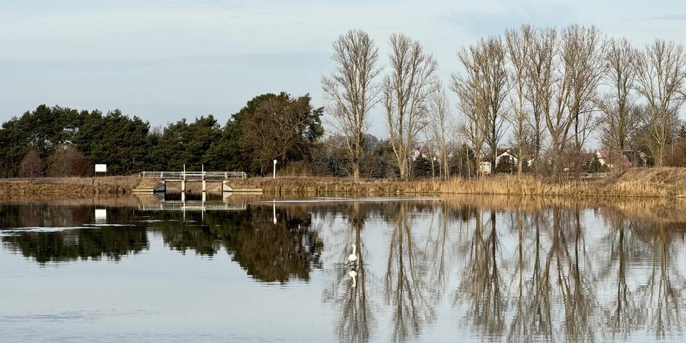 @brunnom@mastodon.social