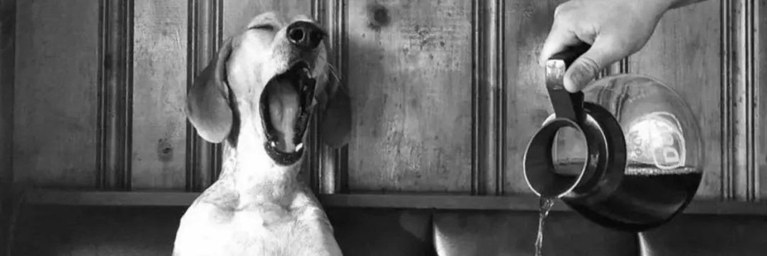 @genecowan@mastodon.social