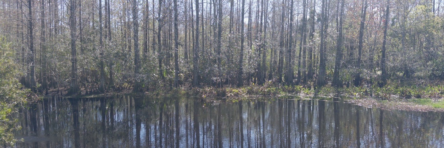 @chipotle@mstdn.social