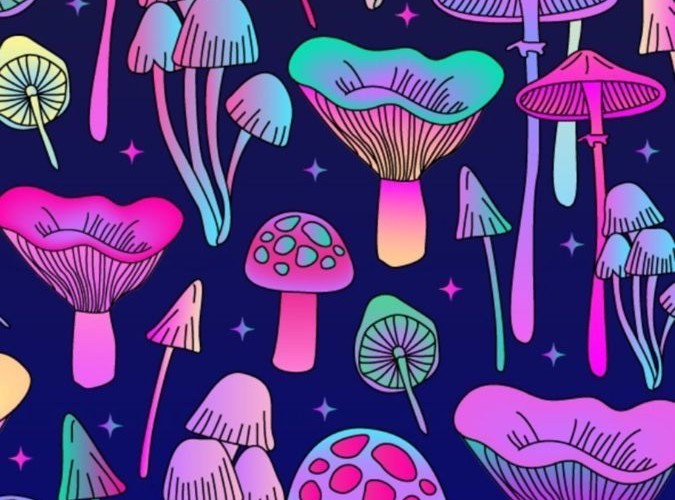 @AmanitaCaesarea@slrpnk.net