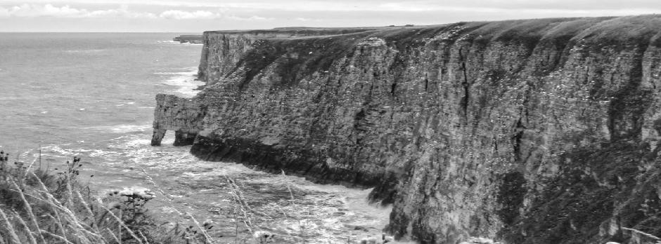 @craigjarrettphotography@mastodon.social