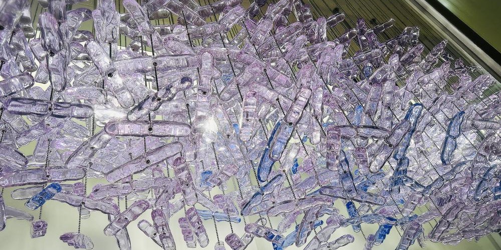 @ui_y@mastodon.social