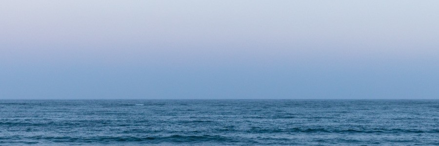 @fox@front-end.social