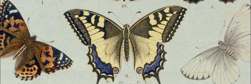 @cookie@mastodon.com.pl