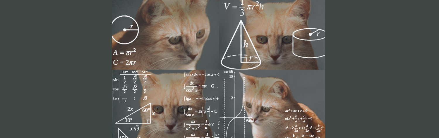 @bbacc@mastodon.bida.im