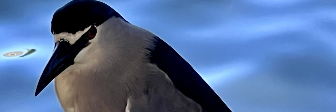 @bmoyce@mastodon.social