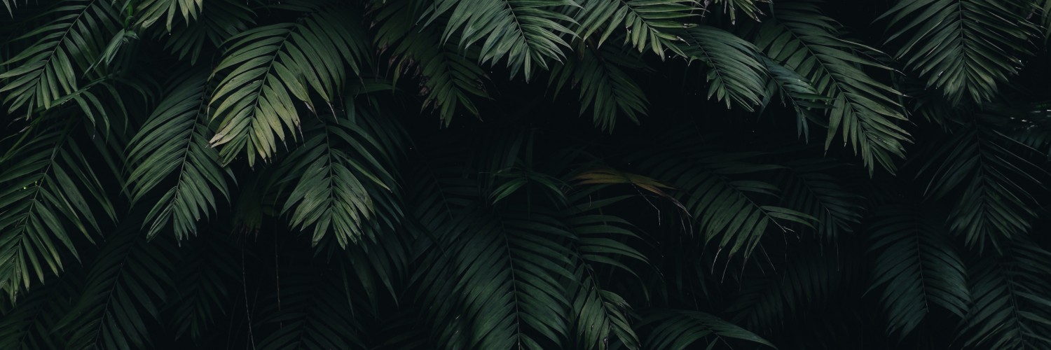 @galahyde@programming.dev