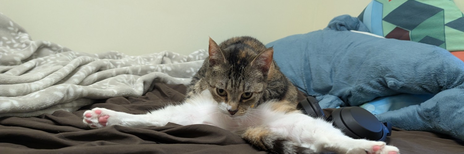 @QuinnyCoded@sh.itjust.works