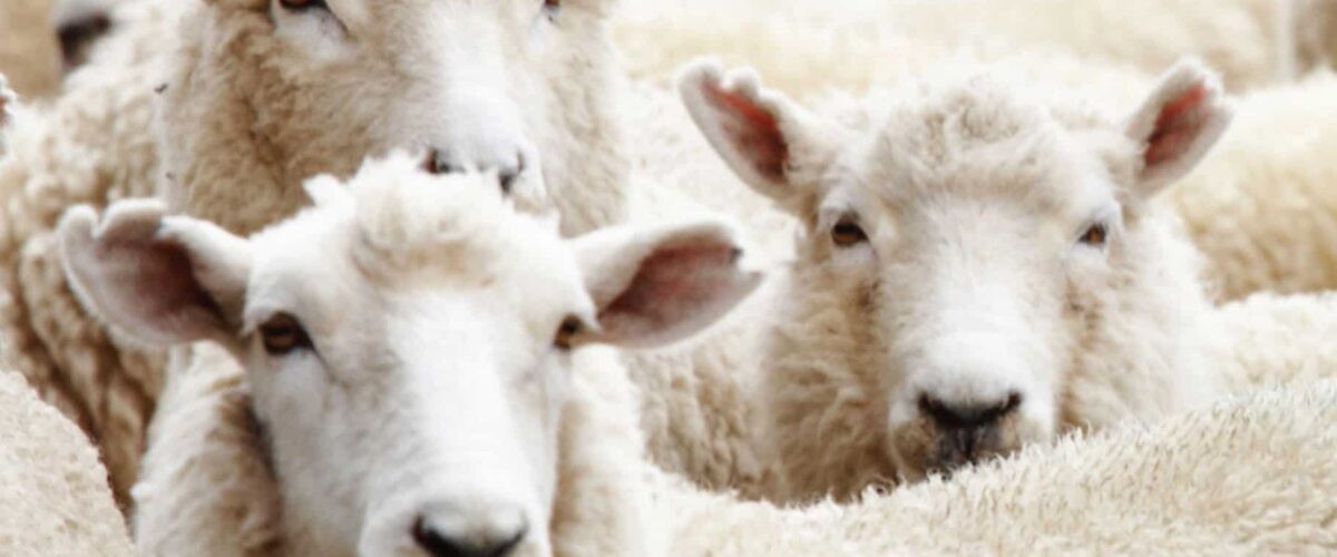 @Unrelated@feddit.nl