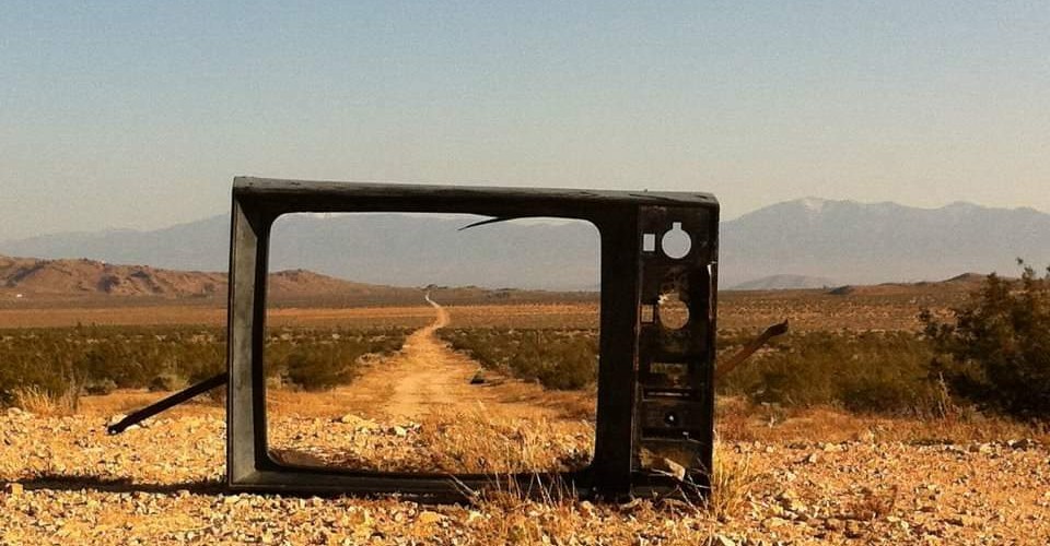 @hollywood@jorts.horse