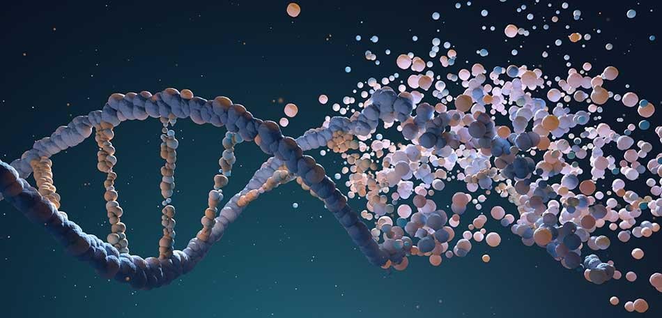 @rxf@mastodon.social