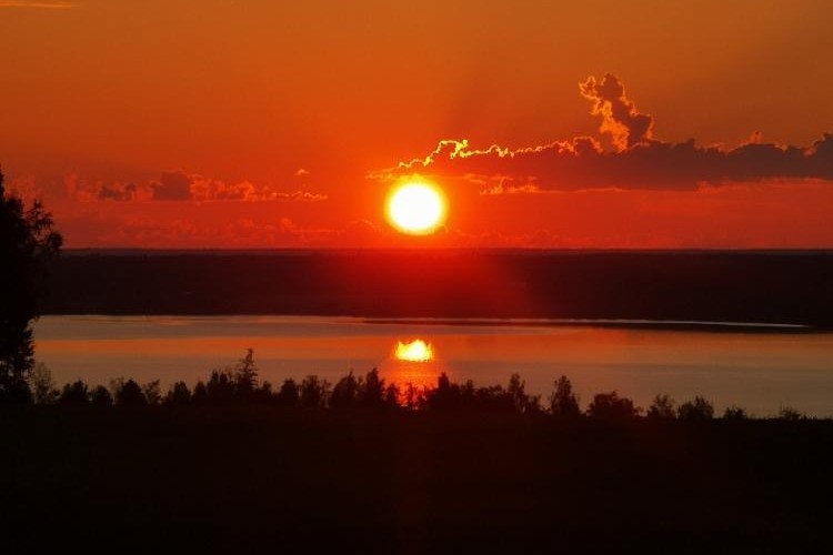 @Muddlerfly@mastodon.social