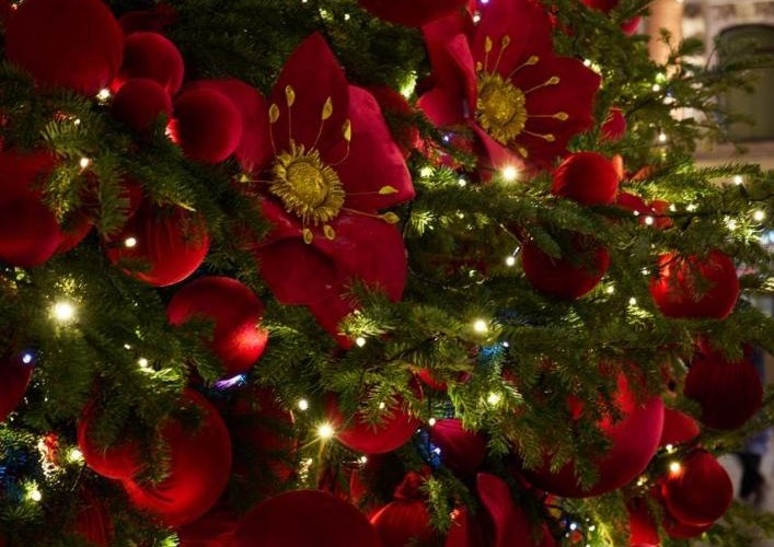 @alexdudealex@mastodon.social