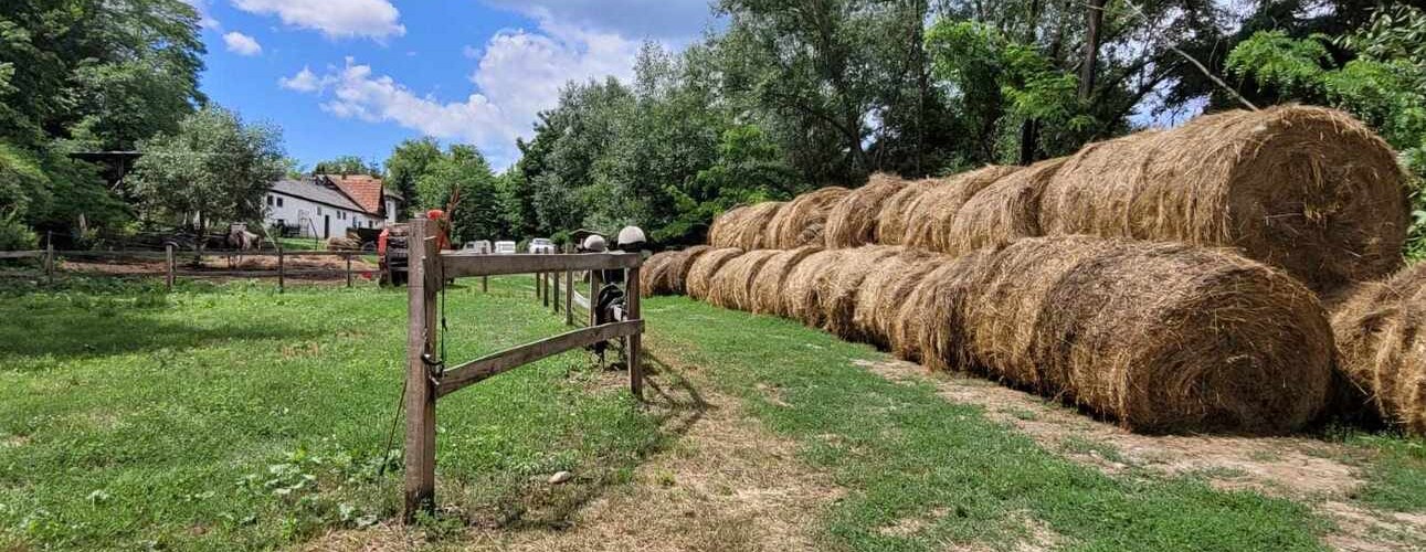 @teodorsandu@mastodon.online