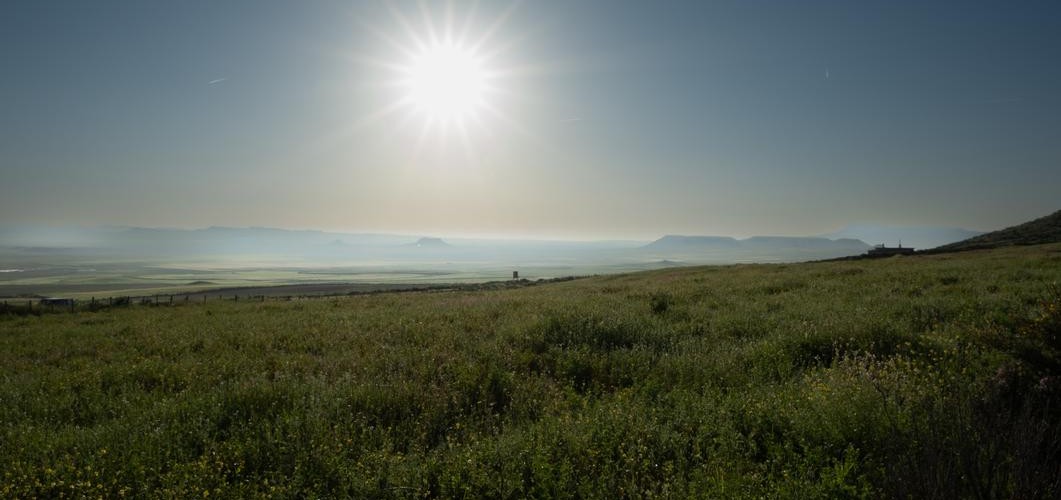 @hendrikk@mastodon.social