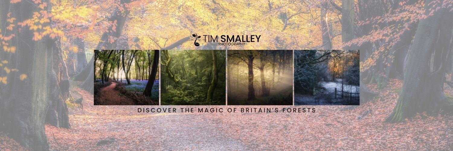 @timsmalley@mastodon.green
